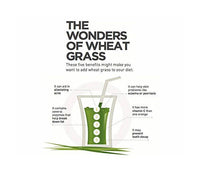 Thumbnail for  Wheatgrass Powder