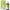 Medilexicon Homeopathy Acne Care Drops
