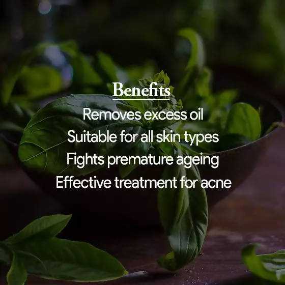 The Wellness Shop Oil Control Face Cleanser