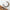 Khavi Arts Designer Set with Rose Antique Polish-Green - Distacart