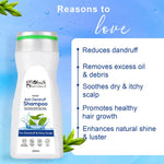 Thumbnail for Globus Naturals Herbal Anti Dandruff Shampoo - Distacart