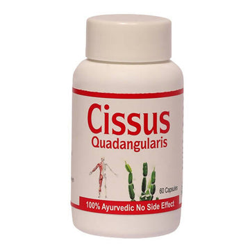 Sankalp Ayurvedic Cissus Capsules - Distacart