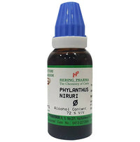 Thumbnail for Hering Pharma Phylanthus Niruri Mother Tincture Q - Distacart