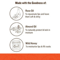 Thumbnail for Soultree Ayurvedic Lip Gloss Sunshine Ingredients