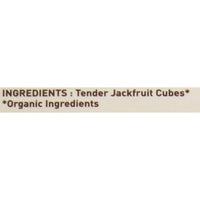 Thumbnail for Organic Tender Just Jackfruit
