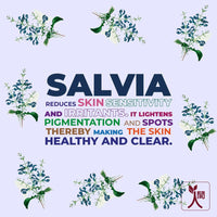 Thumbnail for Ningen Salvia Skin Clarifying Anti-Scar Serum - Distacart