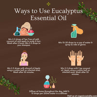 Thumbnail for Organicos Eucalyptus Essential Oil - Distacart