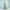 Sea Green Lycra Embroidery Saree with Unstitched Blouse Piece - Norita Elaura - Distacart