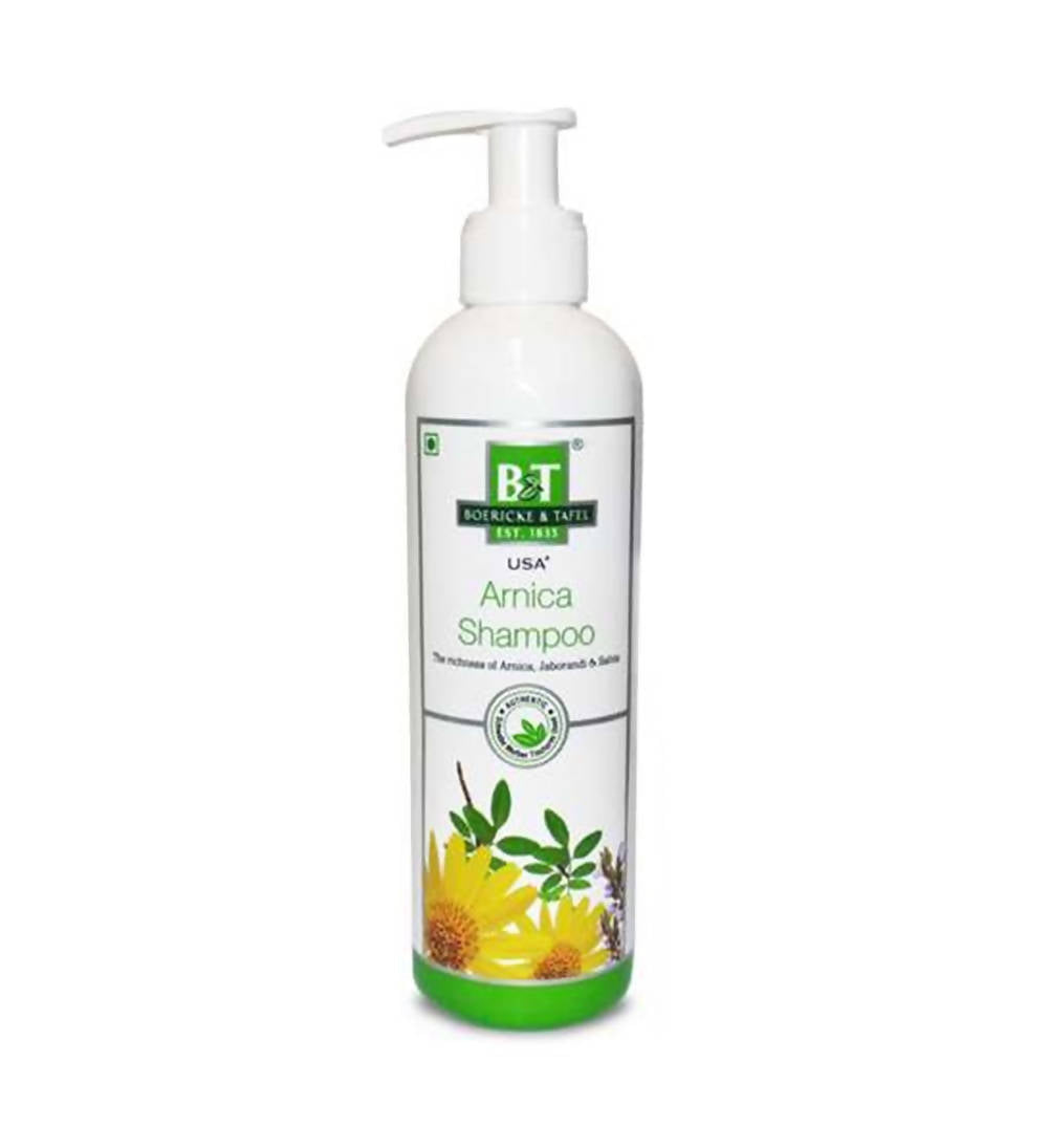 Boericke & Tafel Arnica Shampoo - Distacart