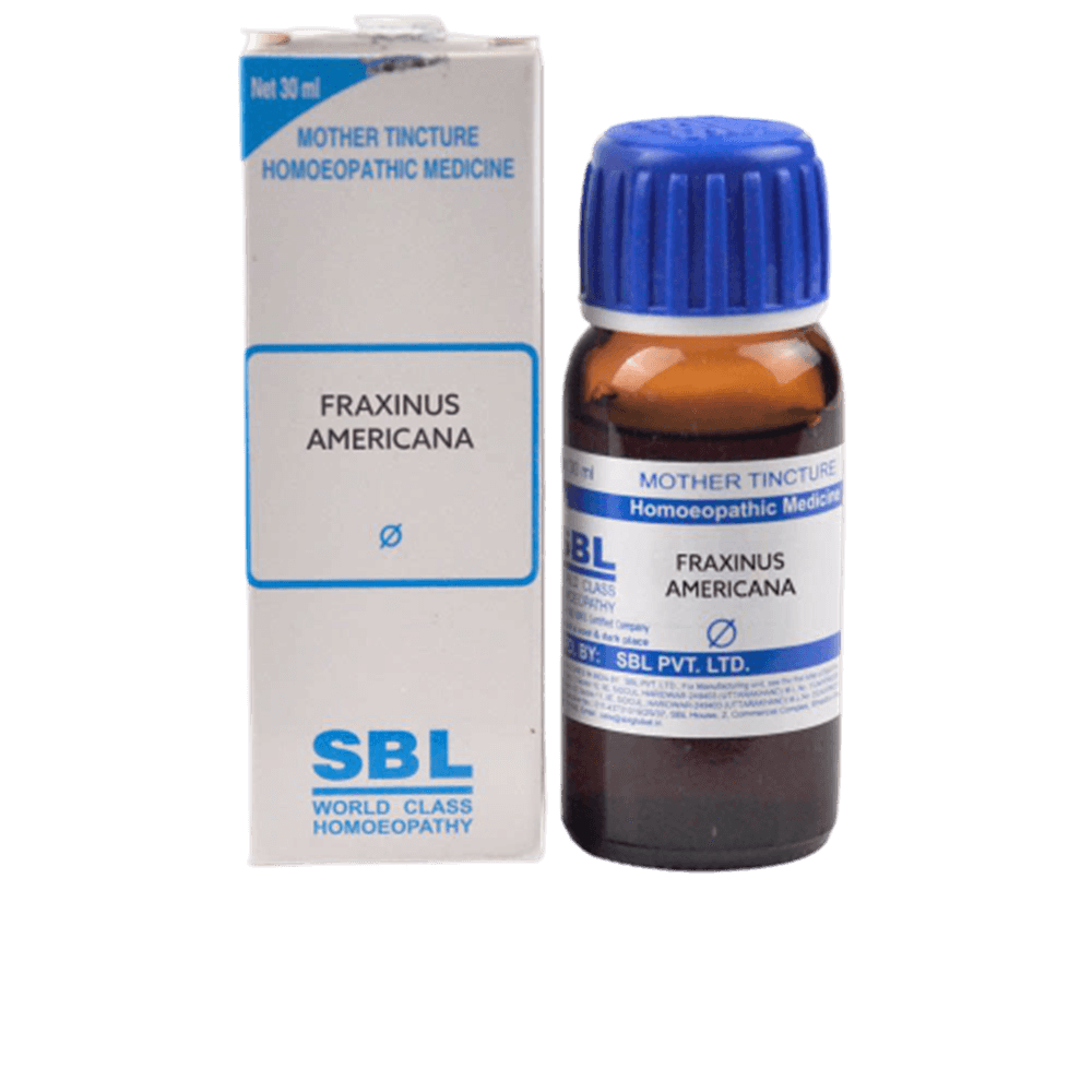 SBL Homeopathy Fraxinus Americana Mother Tincture Q
