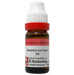 Thumbnail for Dr. Reckeweg Sambucus Can Dilution - Distacart