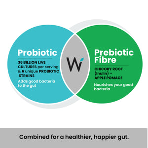 Wellbeing Nutrition Probiotic + Prebiotic Effervescent Tablets-Green Apple & Mint Flavor - Distacart