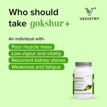 Vedistry Gokshur Tablets - Distacart