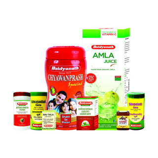 Baidyanath Jhansi Family Immunity Kit - Distacart
