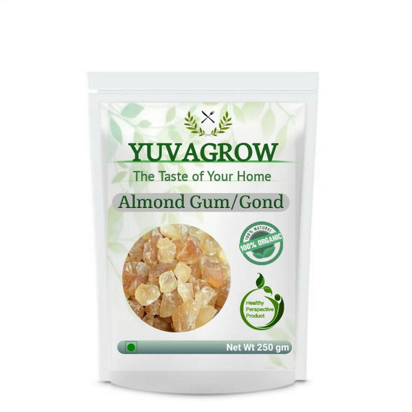 Yuvagrow Almond Gum (Badam Gond) - Distacart