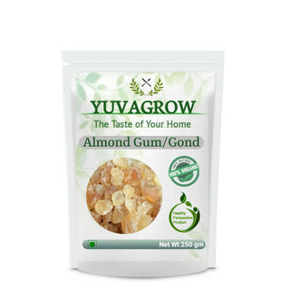 Yuvagrow Almond Gum (Badam Gond) - Distacart