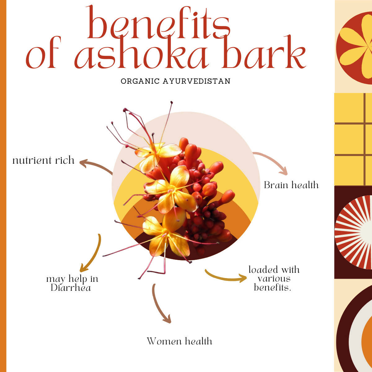 Organic Ayurvedistan Ashoka Bark Powder - Distacart