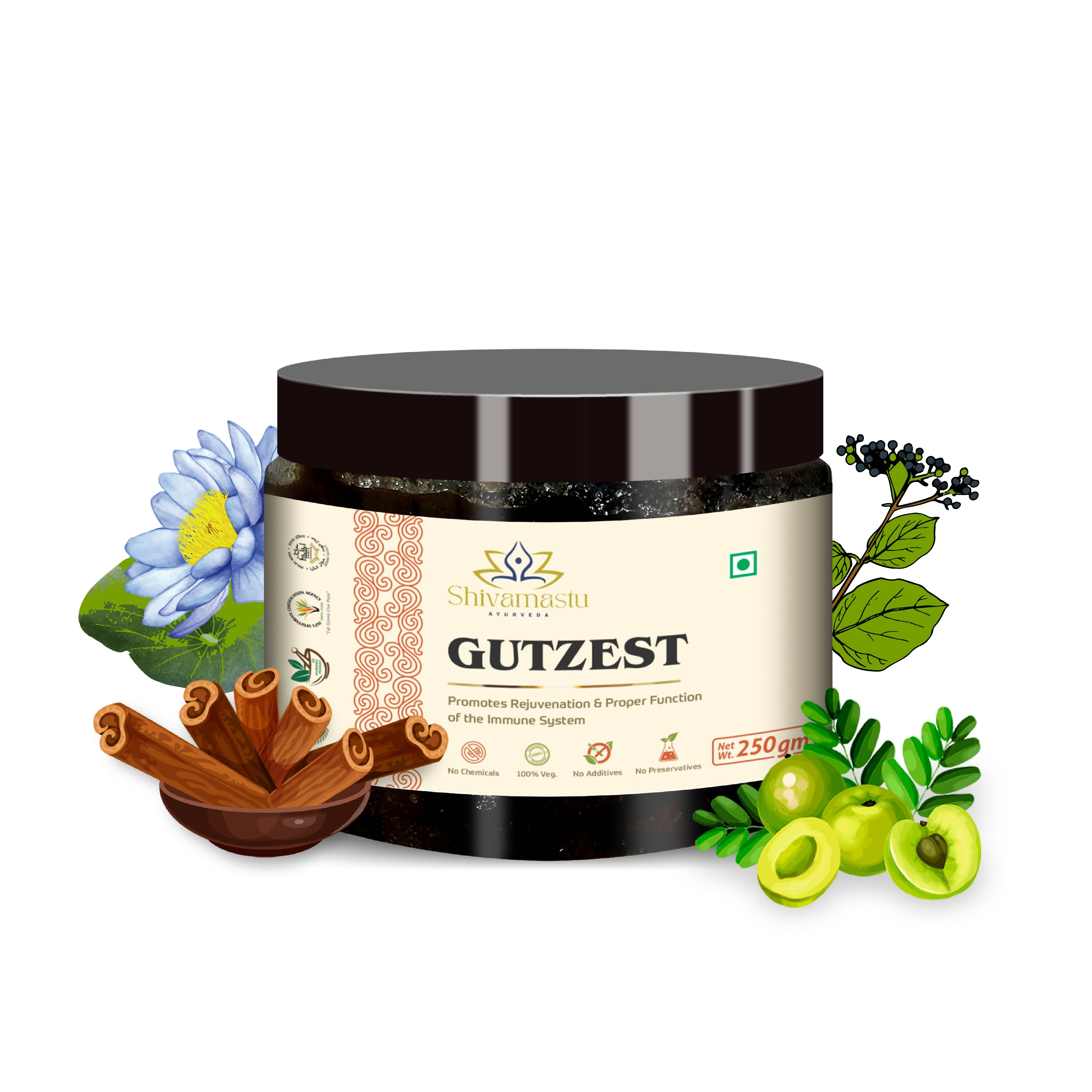 Gutzest_Front_1 @4x-100