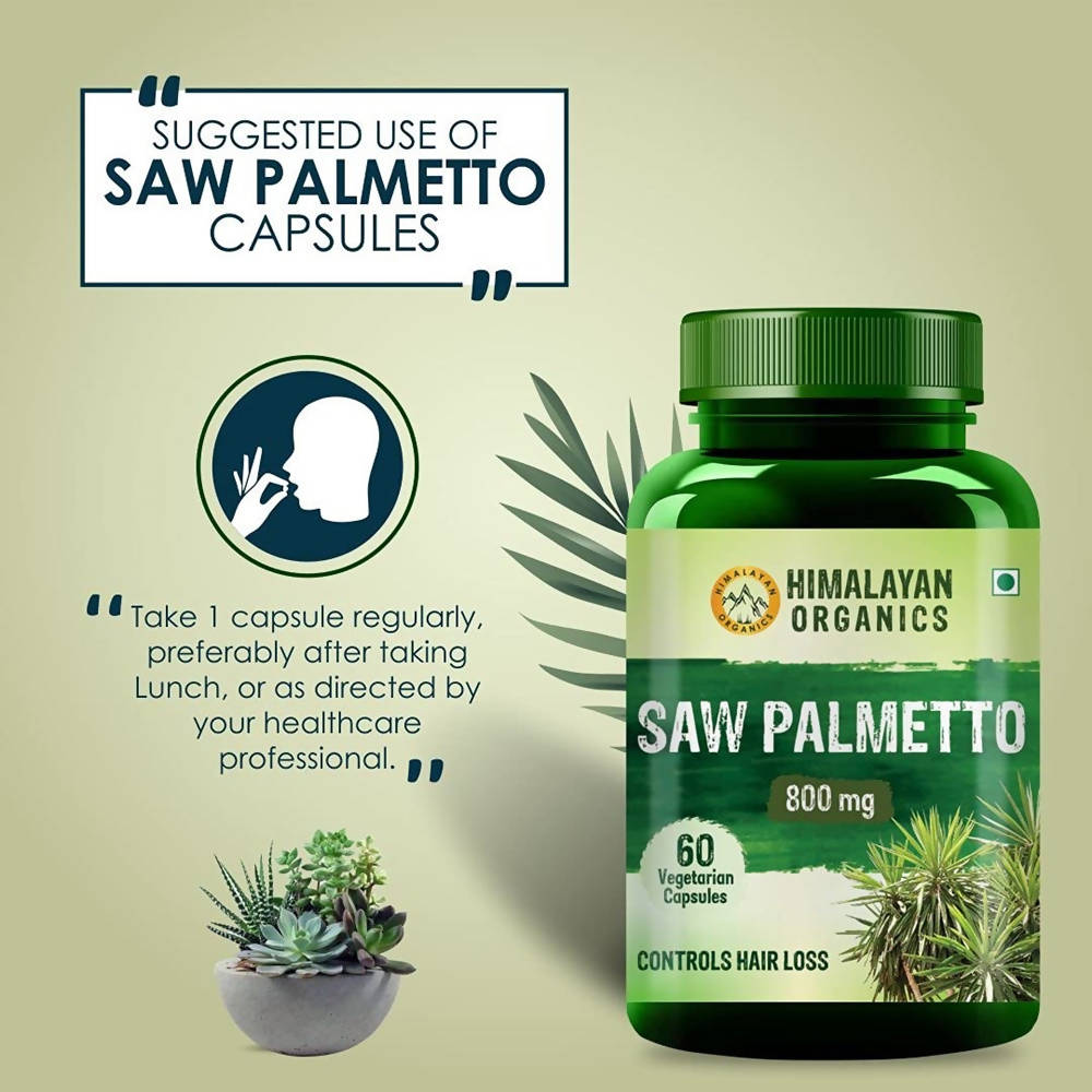 Organics Saw Palmetto Controls Hair Loss: 60 Vegetarian Capsules