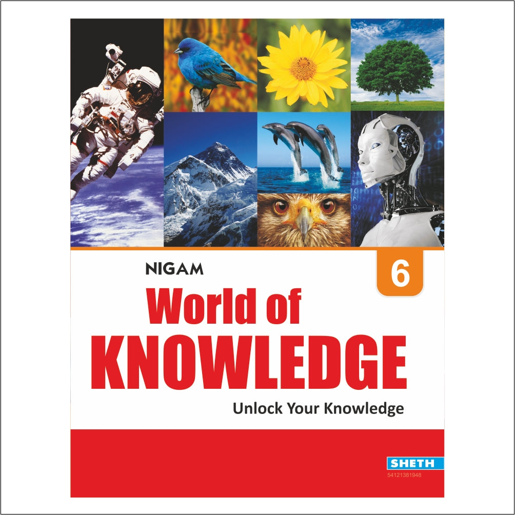 Self Enhancement Student Workbooks Grade 6| Set of 4|Computer-Grammar-World of Knowledge-Value Education|Ages 11-12 Year - Distacart