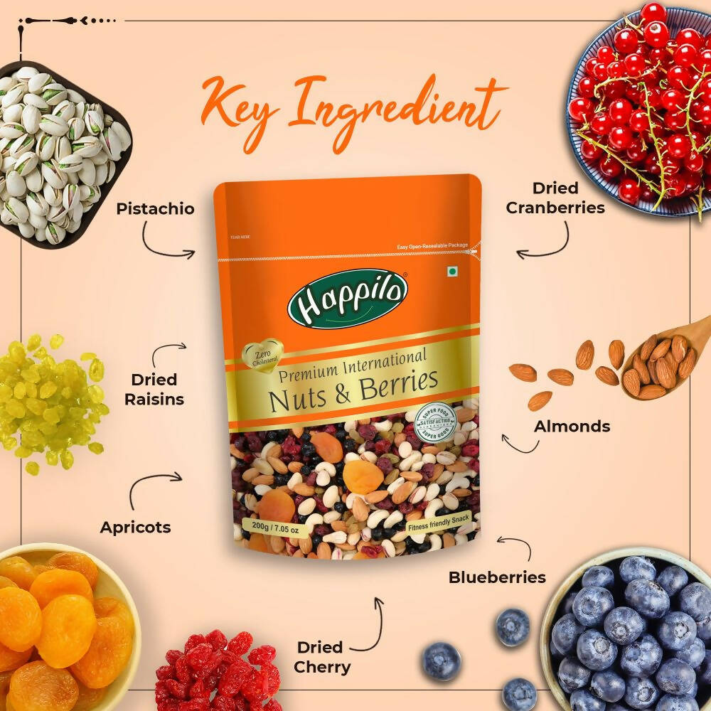 Happilo Healthy & Tasty Premium Nuts and Berries Mix - Distacart