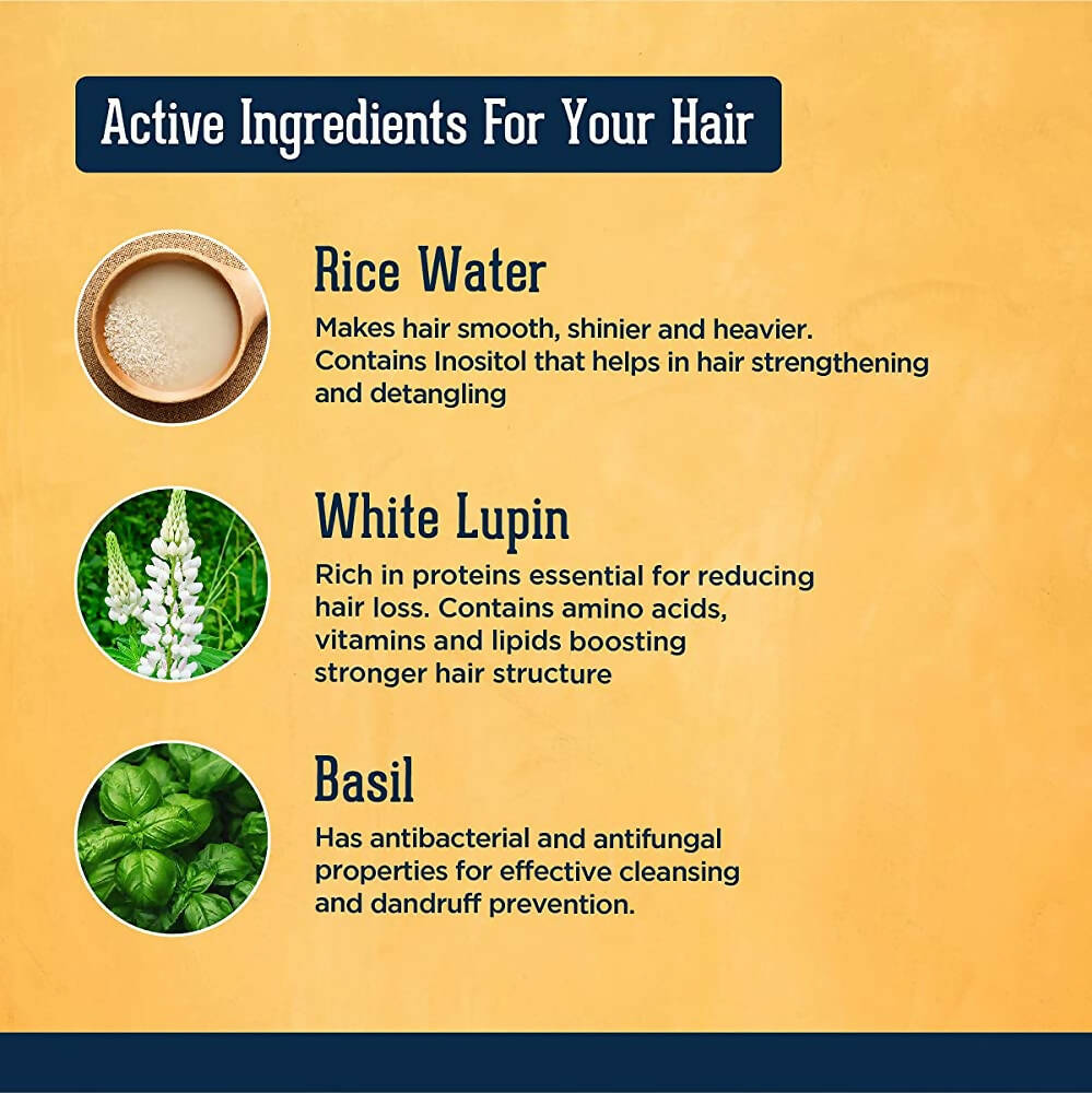 Beardhood Fermented Rice Water Shampoo - Distacart