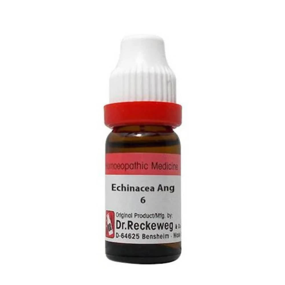 Dr. Reckeweg Echinacea Ang Dilution - Distacart