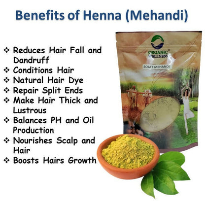 Organic Wellness Sojat Mehandi (Henna) - Distacart