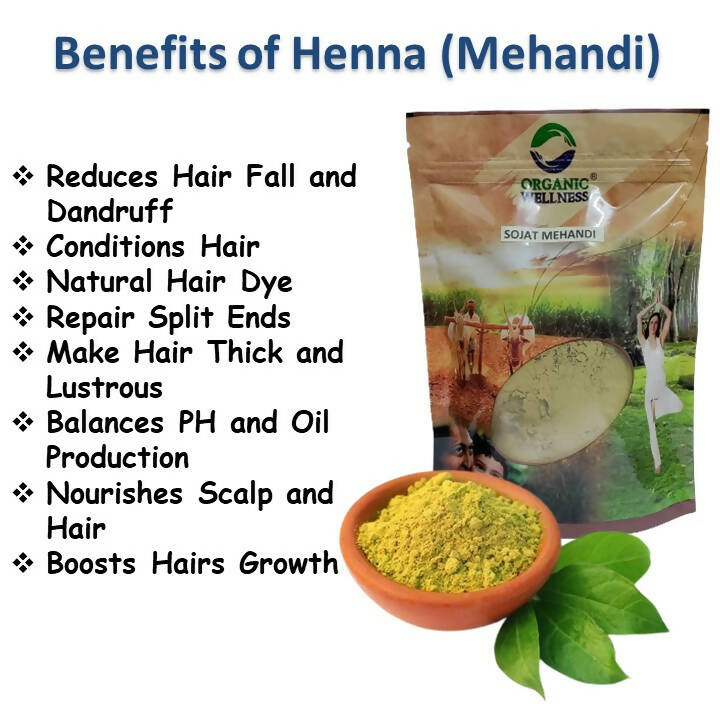 Organic Wellness Sojat Mehandi (Henna) - Distacart