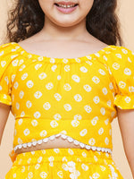 Thumbnail for Girls Printed Ready to Wear Lehenga & Blouse for Kids - Bhama - Distacart