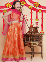 Thumbnail for Girls Peach Mirror Embroidered Lace Detailed Choli With Lehenga And Dupatta for Kids - Bhama - Distacart