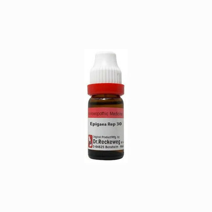 Dr. Reckeweg Epigaea Rep Dilution - Distacart