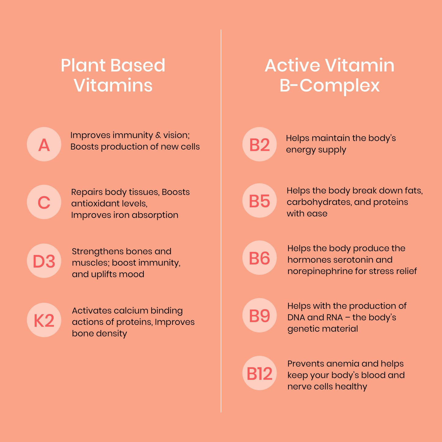 Wellbeing Nutrition Melts Into Multivitamins Oral Strips-Divine Alphonso Mango Flavor - Distacart