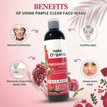 Thumbnail for Nake Organica Pomegranate Pimple Clear Face Wash - Distacart