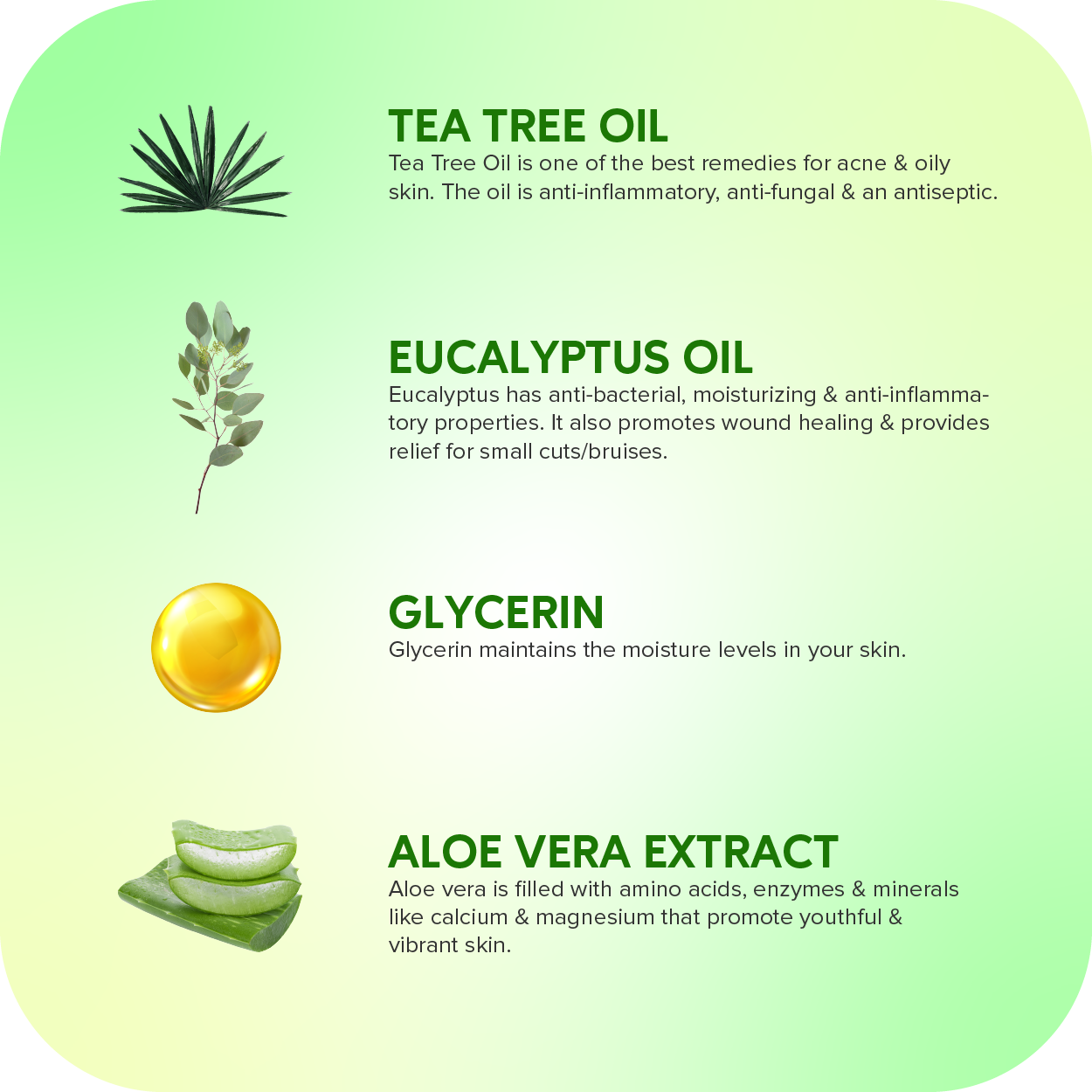 Careberry Organic Tea Tree Eucalyptus Oil Shower Gel - Distacart