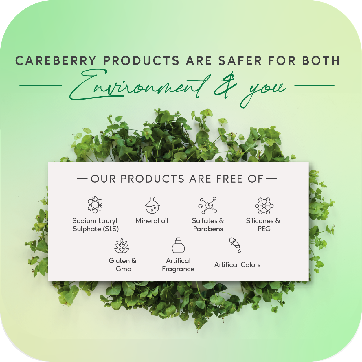 Careberry Organic Tea Tree Eucalyptus Oil Shower Gel - Distacart