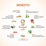 Thumbnail for Sesa Ayurvedic Hair Growth & Immunity Effervescent Tablets - Distacart