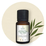 Thumbnail for Juicy Chemistry Australian Tea Tree Essential Oil - Distacart