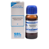 SBL Homeopathy Andrographis Paniculata (Kalmegh) Mother Tincture Q - Distacart