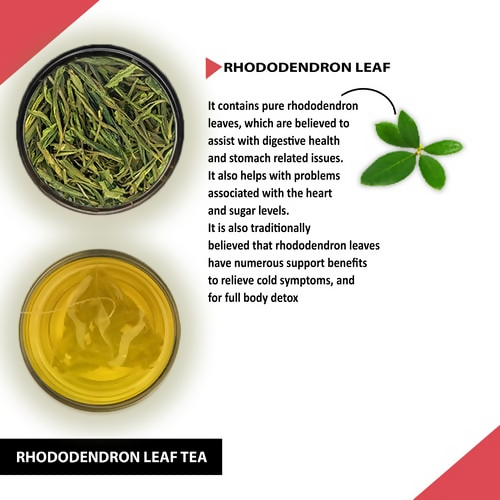 Teacurry Rhododendron Leaf Tea Bags - Distacart