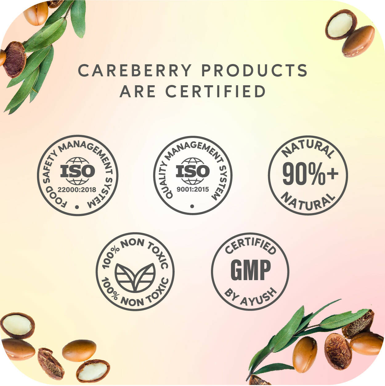 Careberry Moroccon Argan Oil & Silk Proteins Strengthening Shampoo + Conditioner for Strong & Silky Hair - Distacart