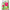 Bliss of Earth DailyFresh Feminine Hygiene Wash - Distacart