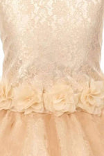 Thumbnail for Asmaani Baby Girl's Gold Color Satin A-Line Frock (AS-DRESS_22132) - Distacart