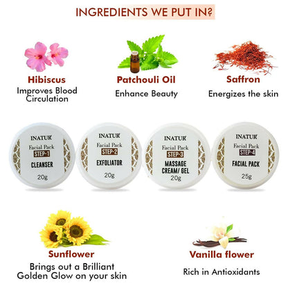 Inatur Saffron Gold Facial Kit - Distacart