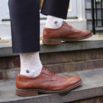 Thumbnail for Socksoho Luxury Designer Socks Made With Premium Scottish Lisle Cotton The Gentleman Edition