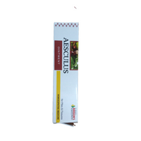 Thumbnail for Bakson's Homeopathy Aesculus Ointment - Distacart