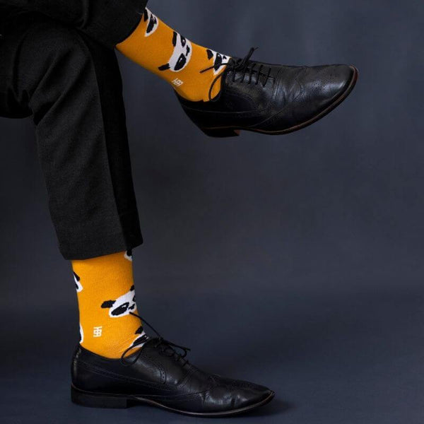 Socksoho Luxury Men Socks Kawaii Panda