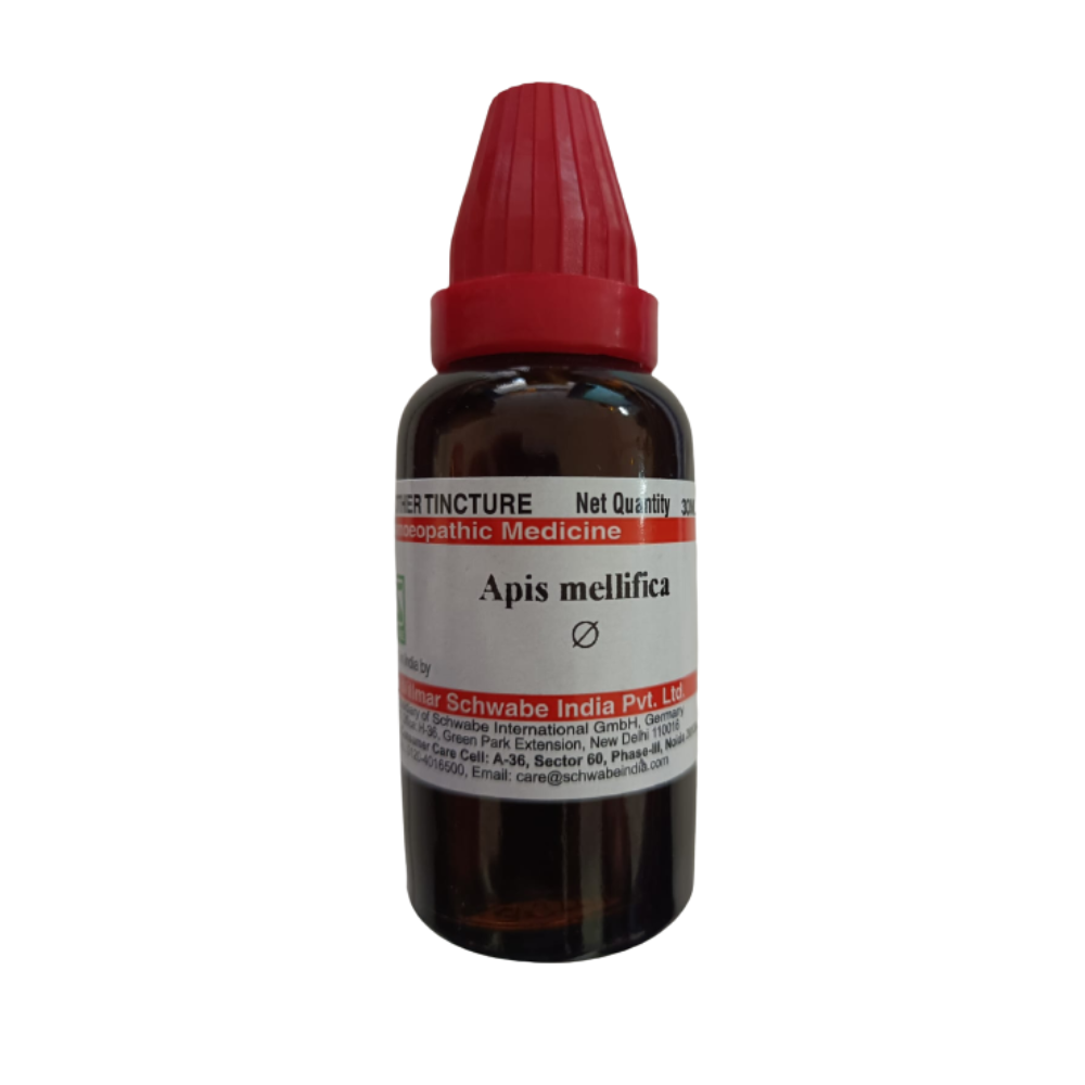 Dr. Willmar Schwabe India Apis Mellifica Mother Tincture Q - Distacart