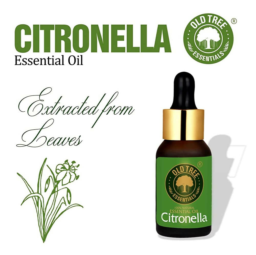 Old Tree Citronella Essential Oil - Distacart