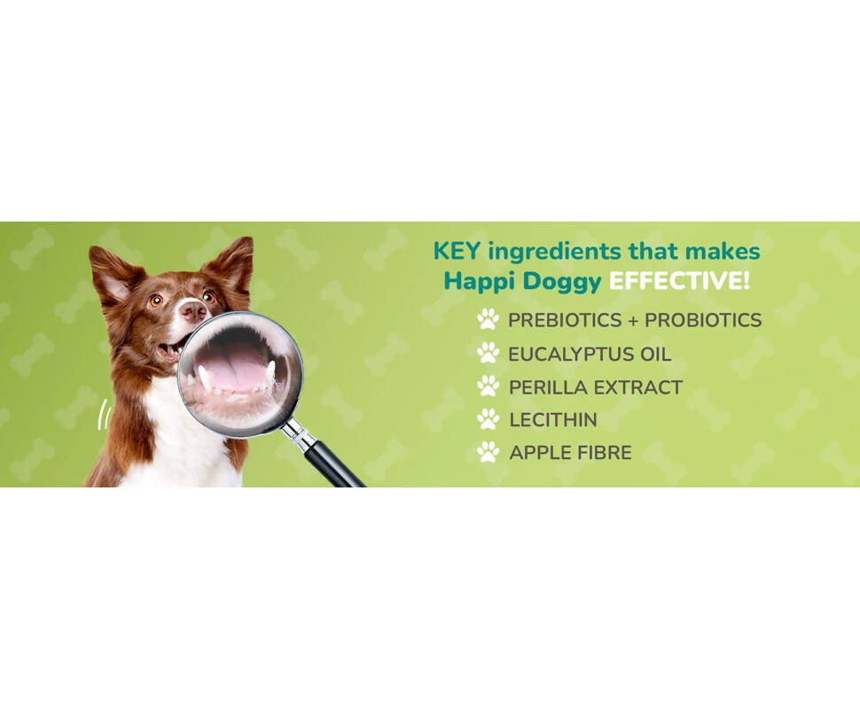 Happi Doggy Dental Chew Care Skin & Coat Support Honey & Coconut Oil - Distacart